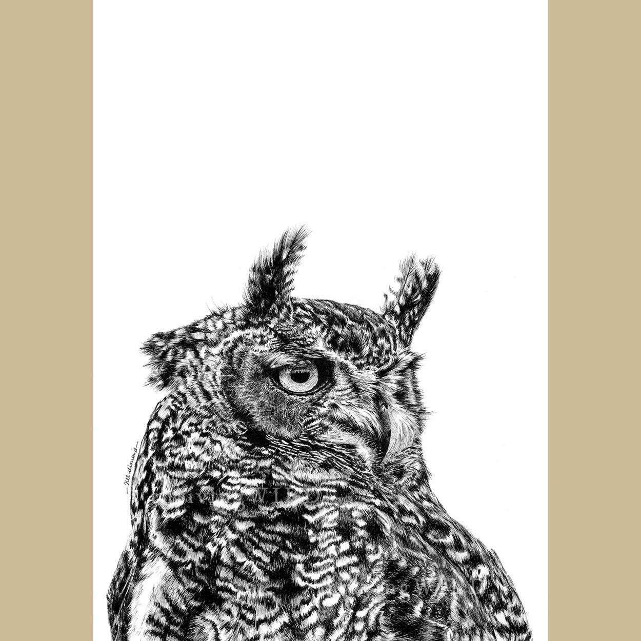 Eagle Owl Pen Drawing Bird of Prey - The Thriving Wild