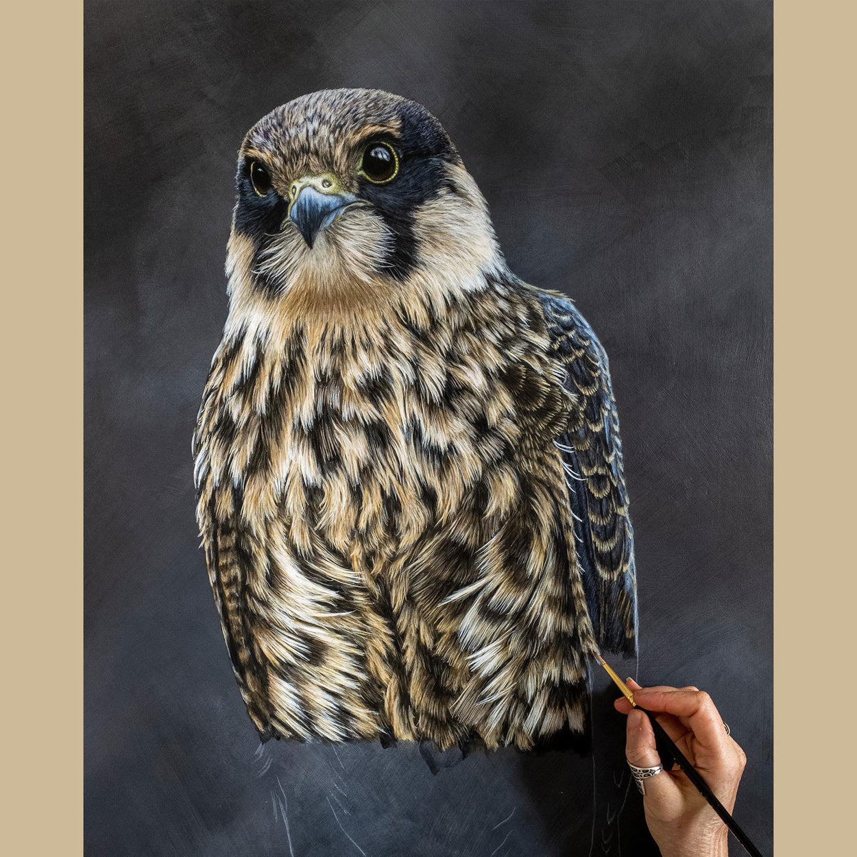 Eurasian Hobby Painting Progress Pic - Jill Dimond - The Thriving Wild