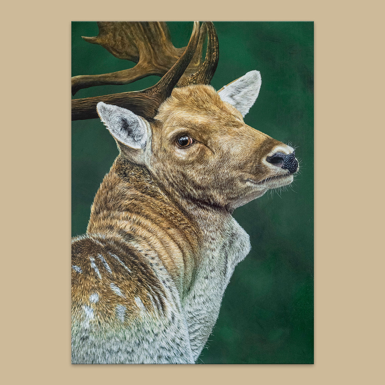 Fallow Deer Buck Painting Flatlay - Jill Dimond - The Thriving Wild