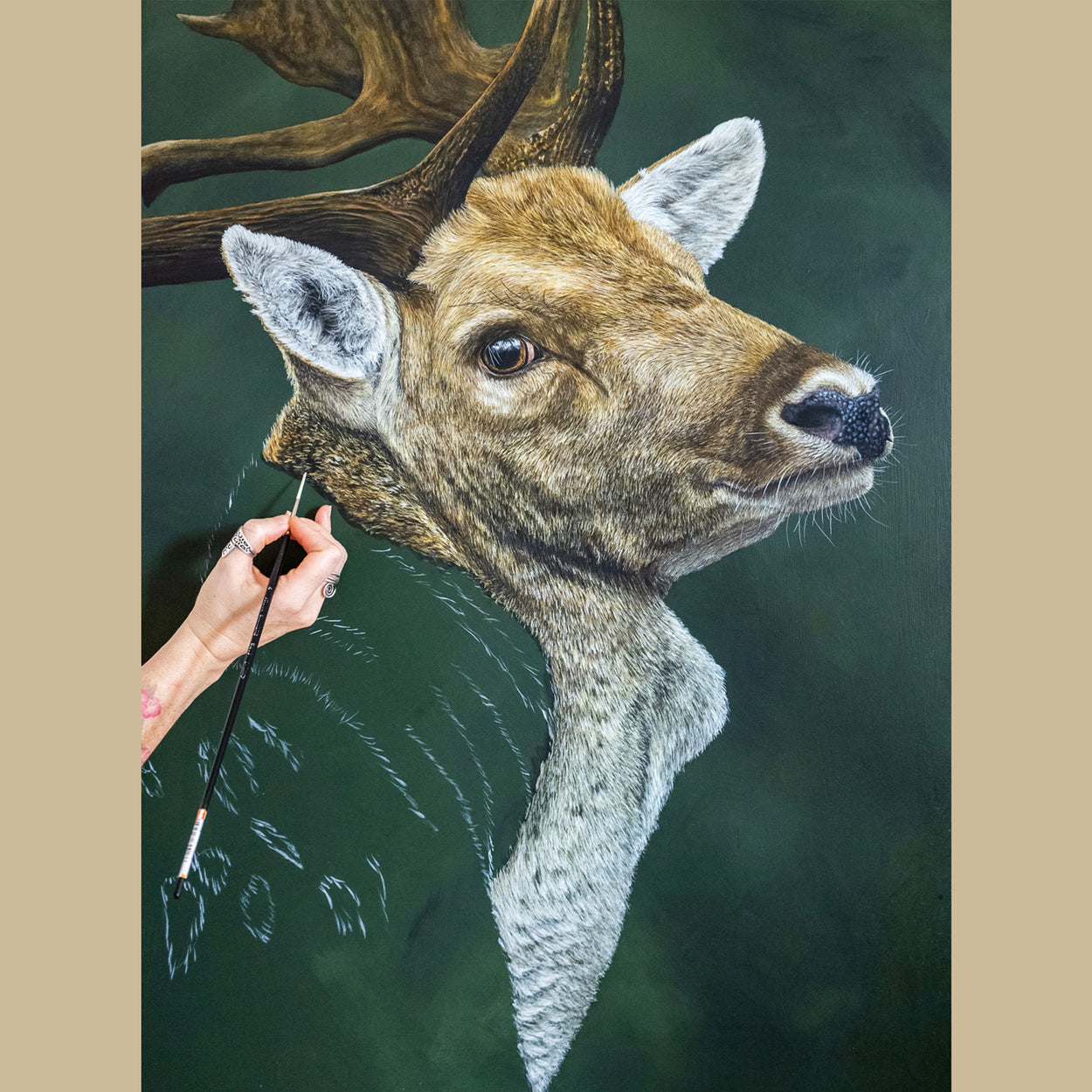 Fallow Deer Painting Progress Pic - Jill Dimond - The Thriving Wild