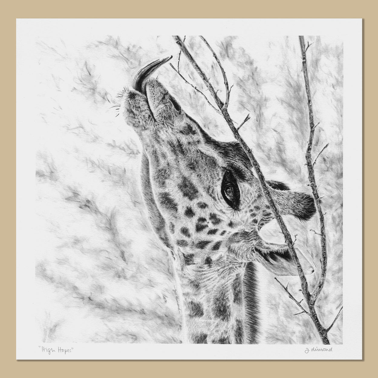 Giraffe Art Prints - The Thriving Wild