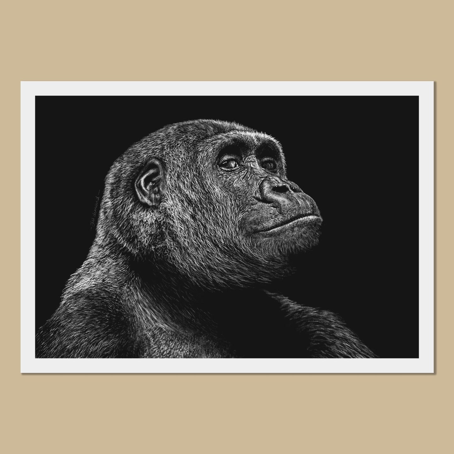 Gorilla Art Prints - The Thriving Wild
