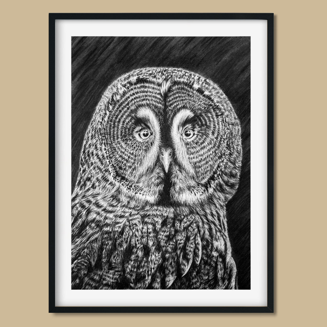 Great Grey Owl Drawing in Frame - Jill Dimond The Thriving Wild