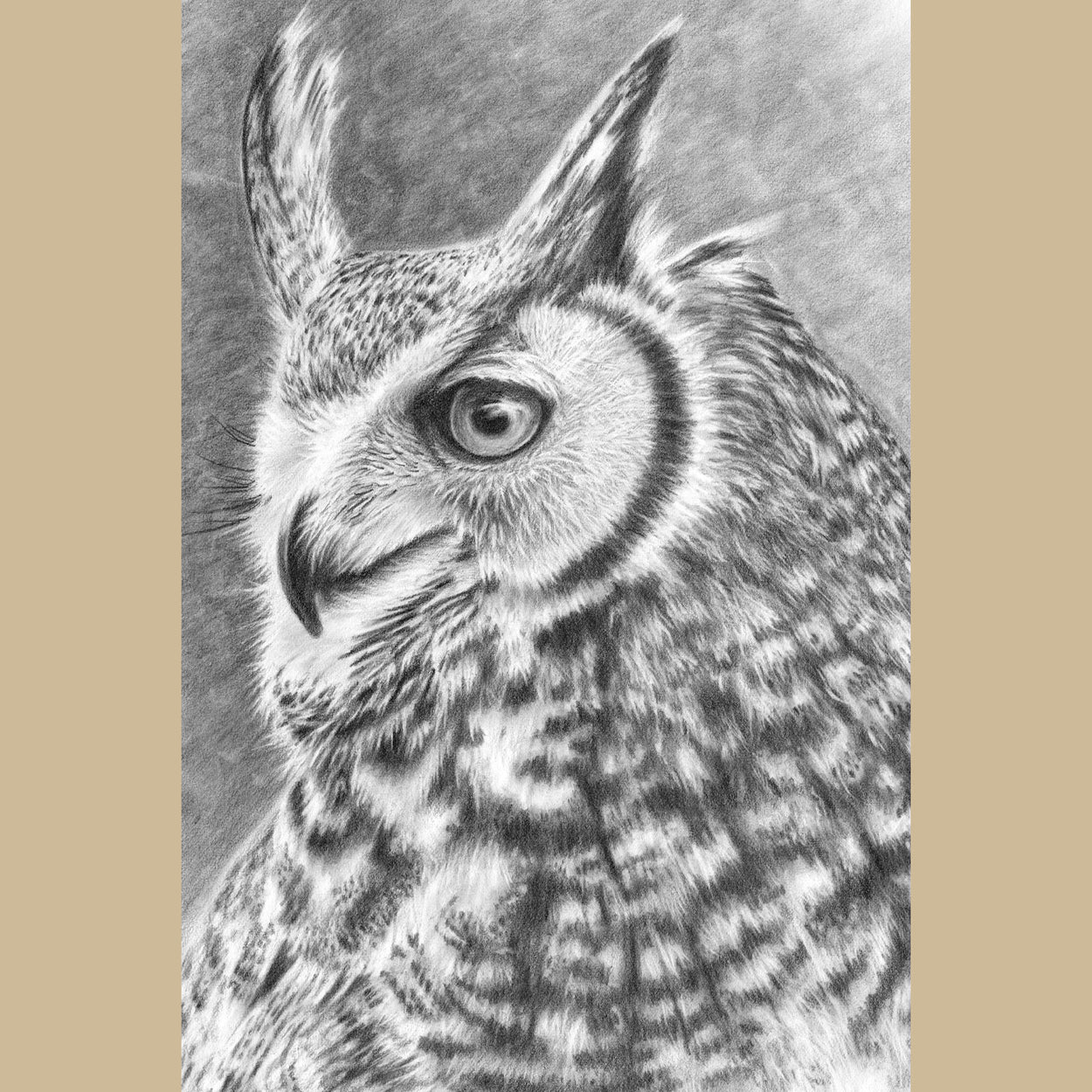 Great Horned Owl Drawing Close-up 1 - The Thriving Wild