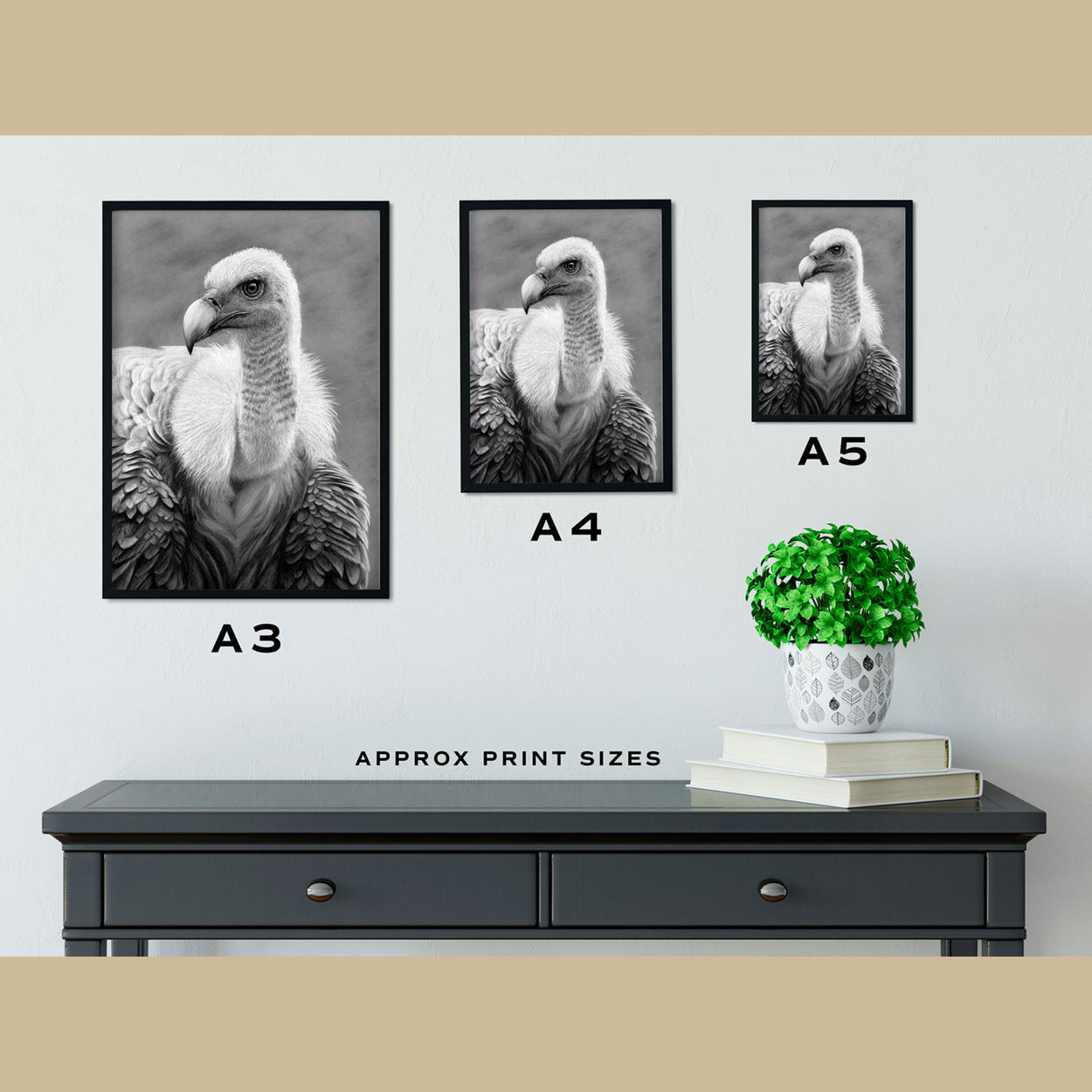 Griffon Vulture Prints Size Comparison - The The Thriving Wild - Jill Dimond