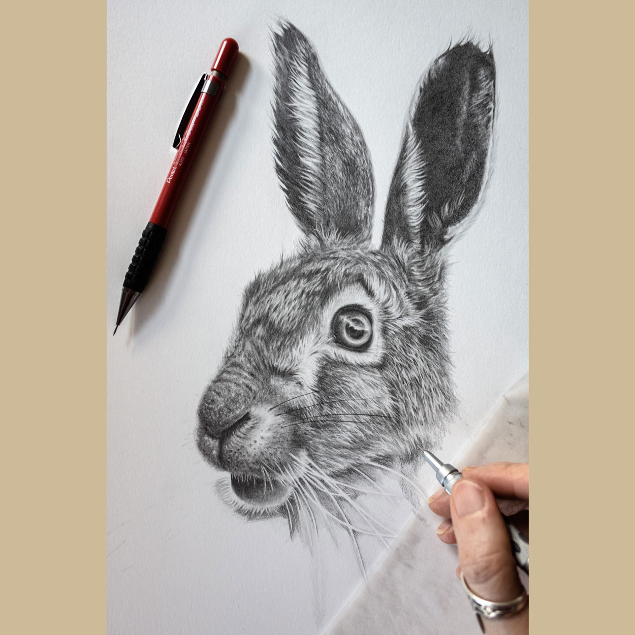 Hare Pencil Drawing in Progress - The Thriving Wild