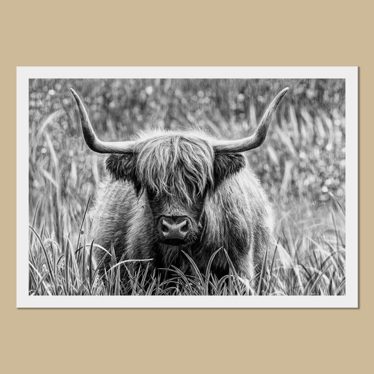 Highland Cow Art Prints - The Thriving Wild