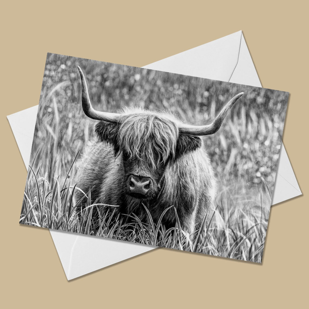 Highland Cow Greeting Card - The Thriving Wild