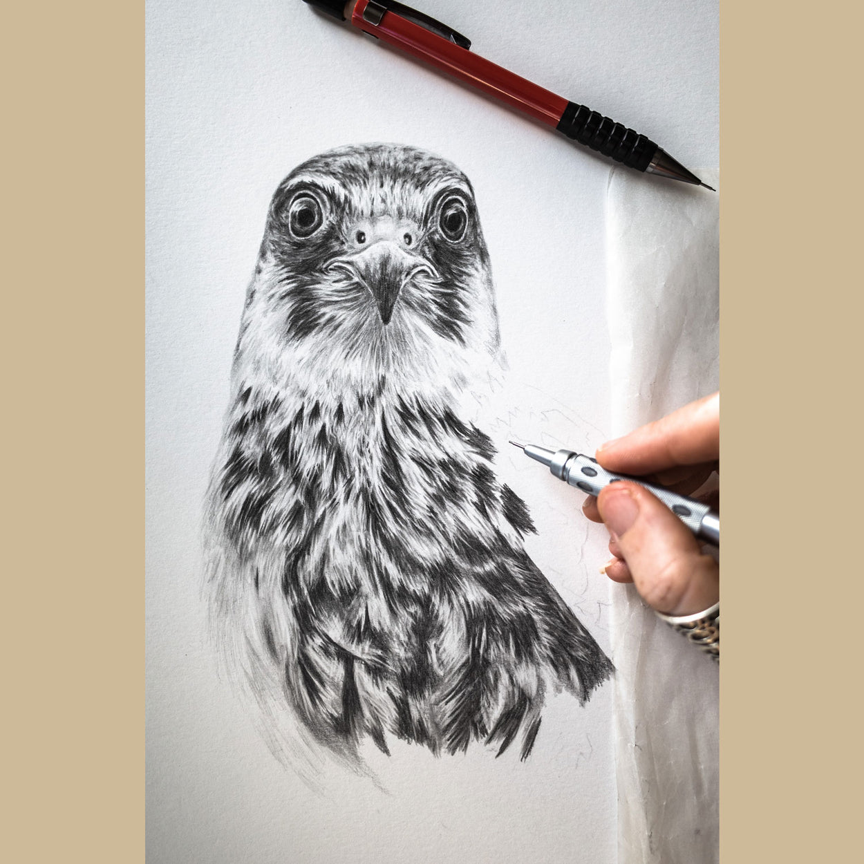 Hobby Pencil Drawing in Progress - The Thriving Wild