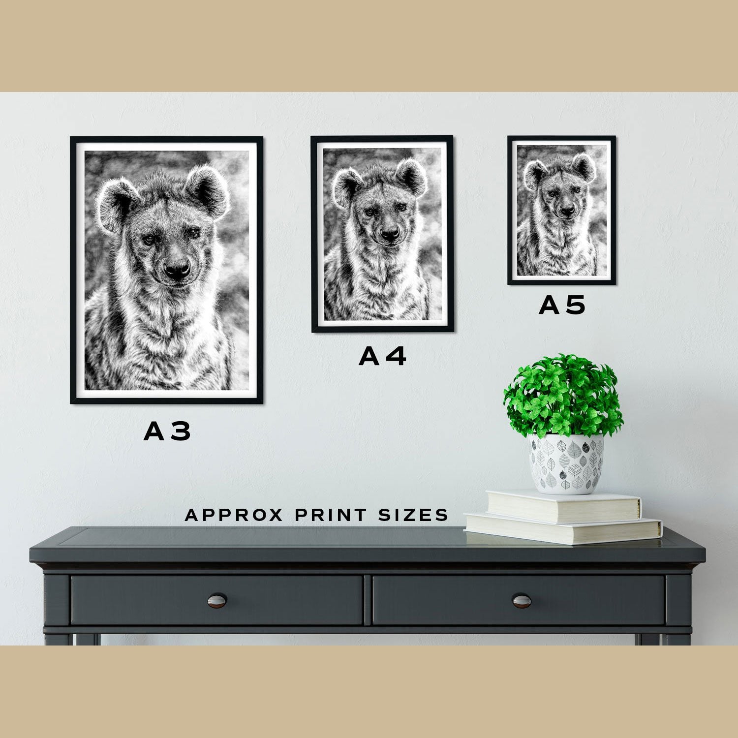 Hyena Prints Size Comparison - The Thriving Wild