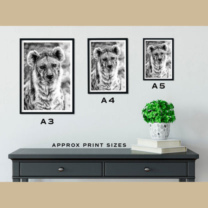 Hyena Prints Size Comparison - The Thriving Wild