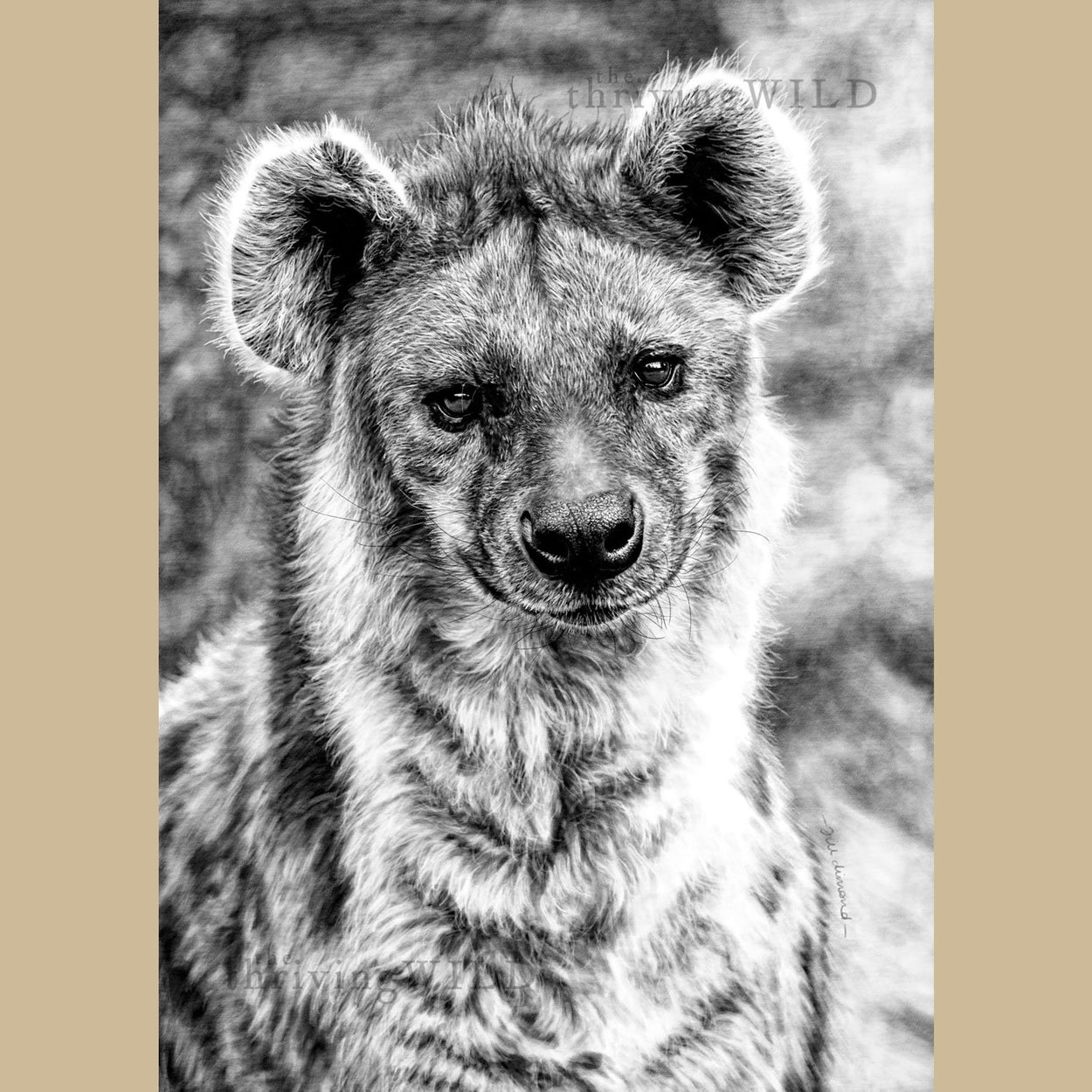 Hyena Wildlife Digital Drawing Procreate - The Thriving Wild