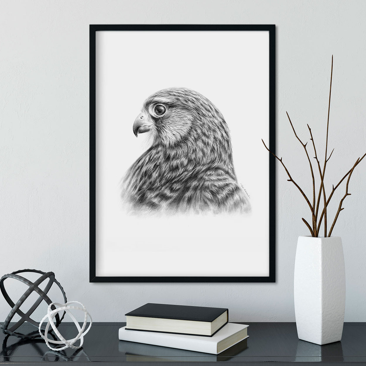 Kestrel Bird of Prey Wall Art in Frame - The Thriving Wild - Jill Dimond