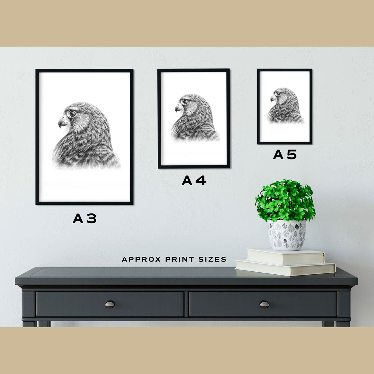 Kestrel Prints Size Comparison - The Thriving Wild