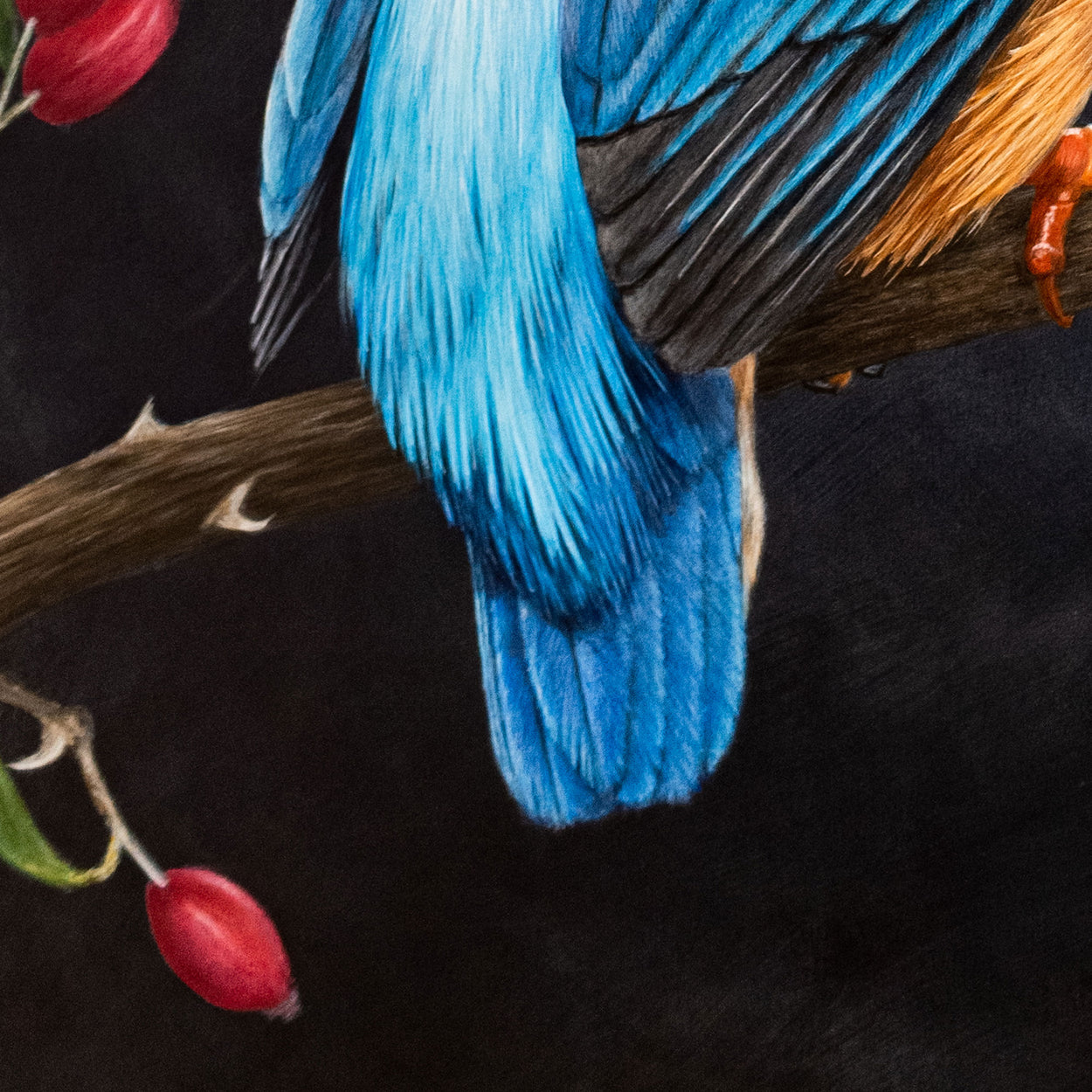Kingfisher Painting Close-up 3 - Jill Dimond Bird Art