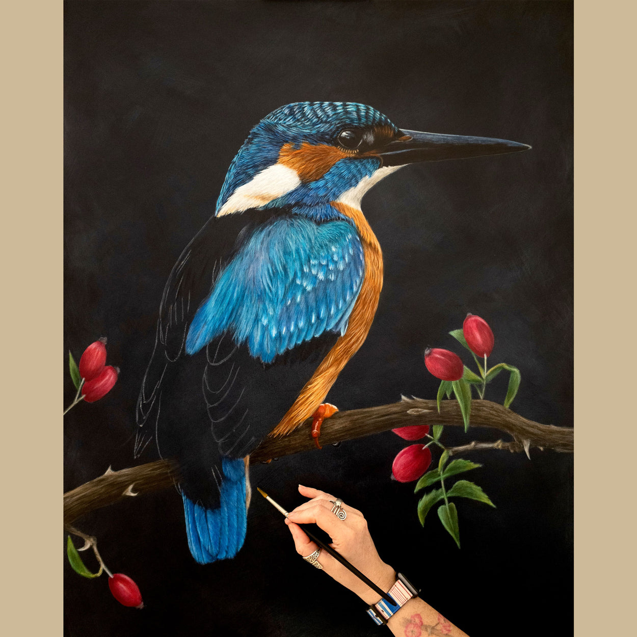 Kingfisher Painting in Progress by Jill Dimond Bird Artist