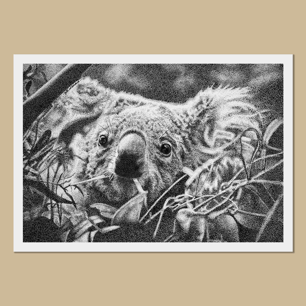 Kiri the Koala Art Prints - The Thriving Wild