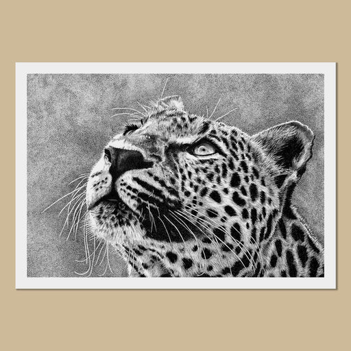 Leopard Art Prints - The Thriving Wild
