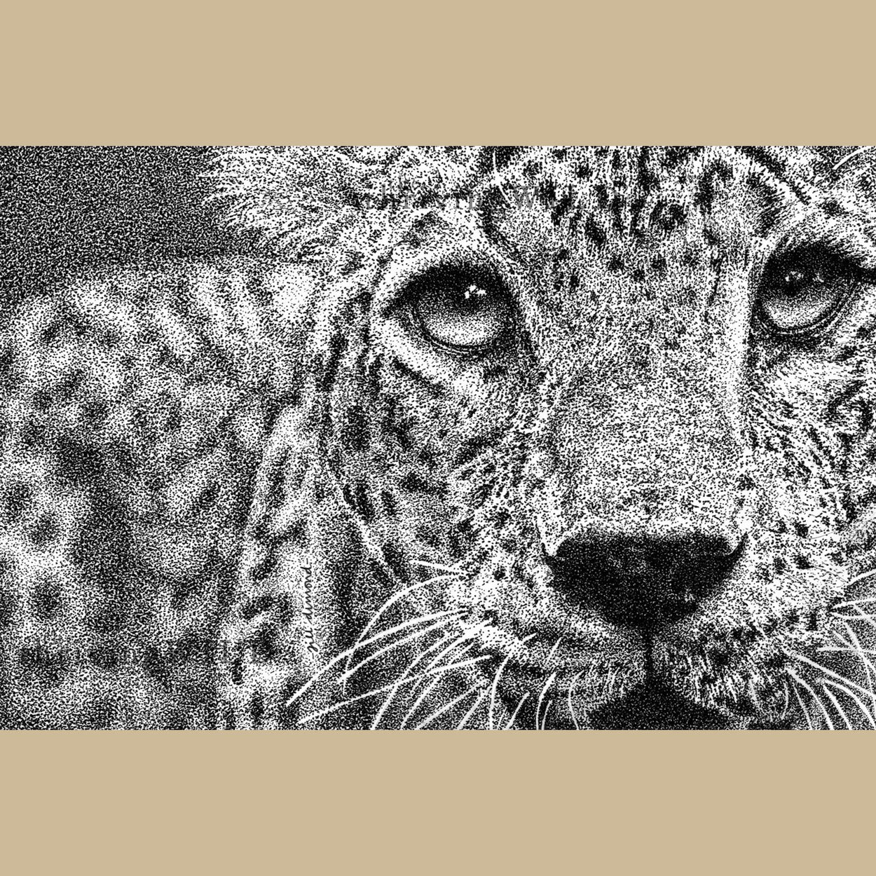 Leopard Pen Drawing Stippling - The Thriving Wild