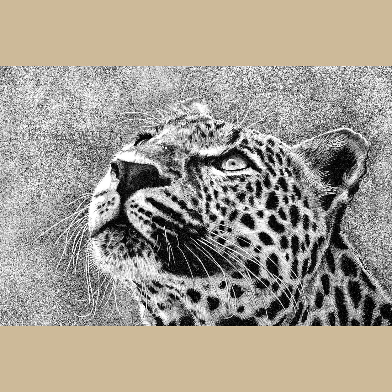 Leopard Pen Drawing Wildlife - The Thriving Wild