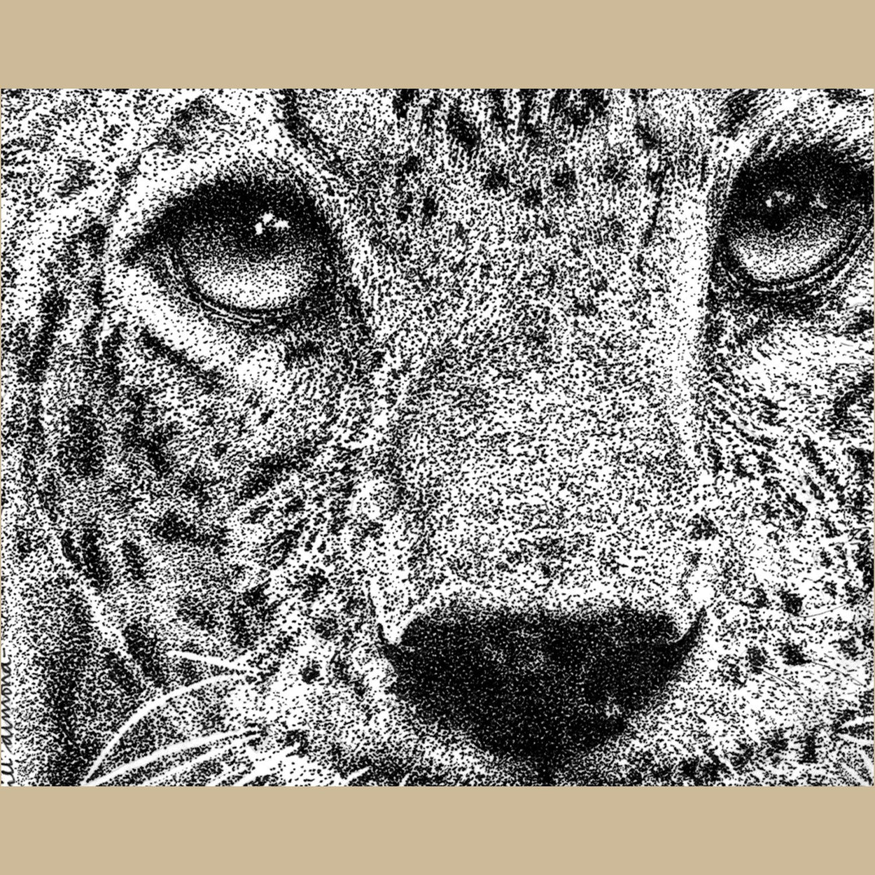 Leopard Pen Stippling Close-Up - The Thriving Wild