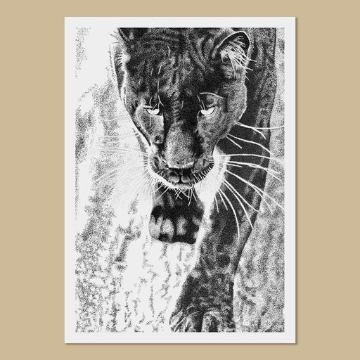 Lettie the Black Leopard Art Prints - The Thriving Wild