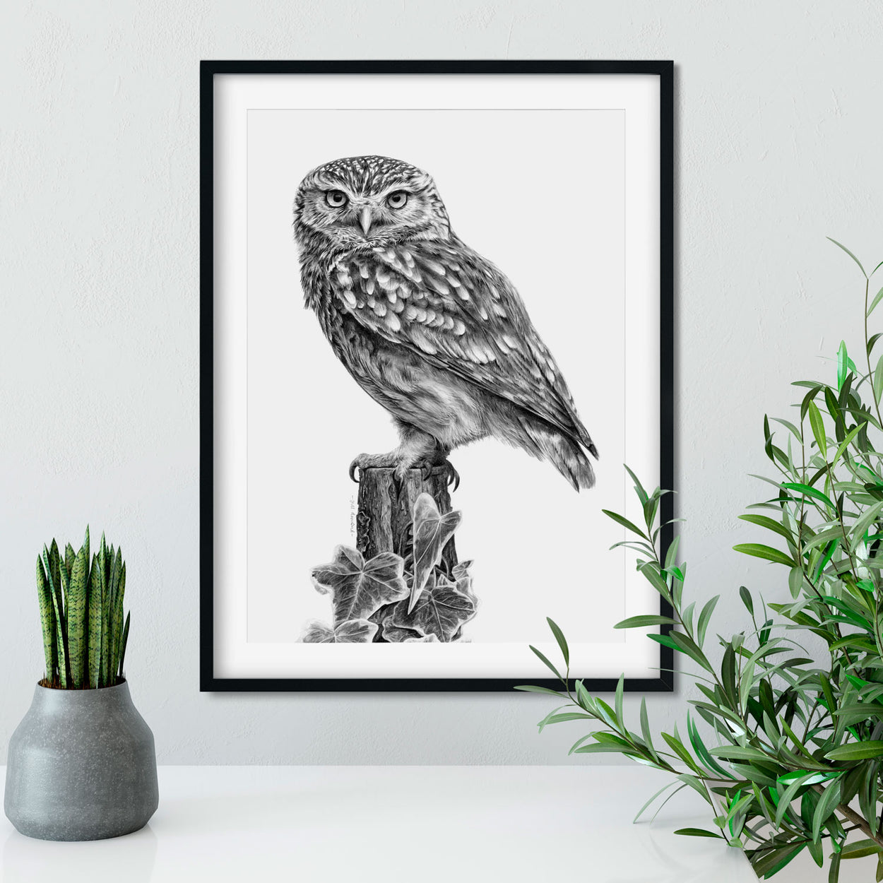 Little Owl Drawing on Wall - The Thriving Wild