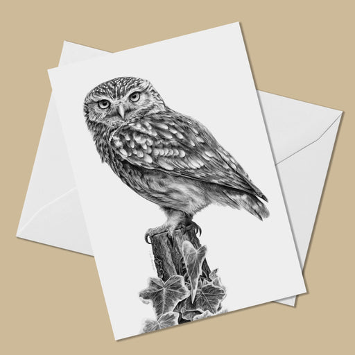 Little Owl Greeting Card - The Thriving Wild