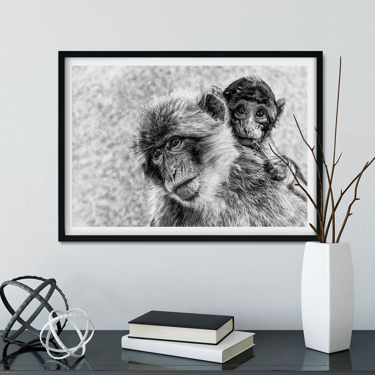 Macaque Drawing Wall Art Frame - The Thriving Wild