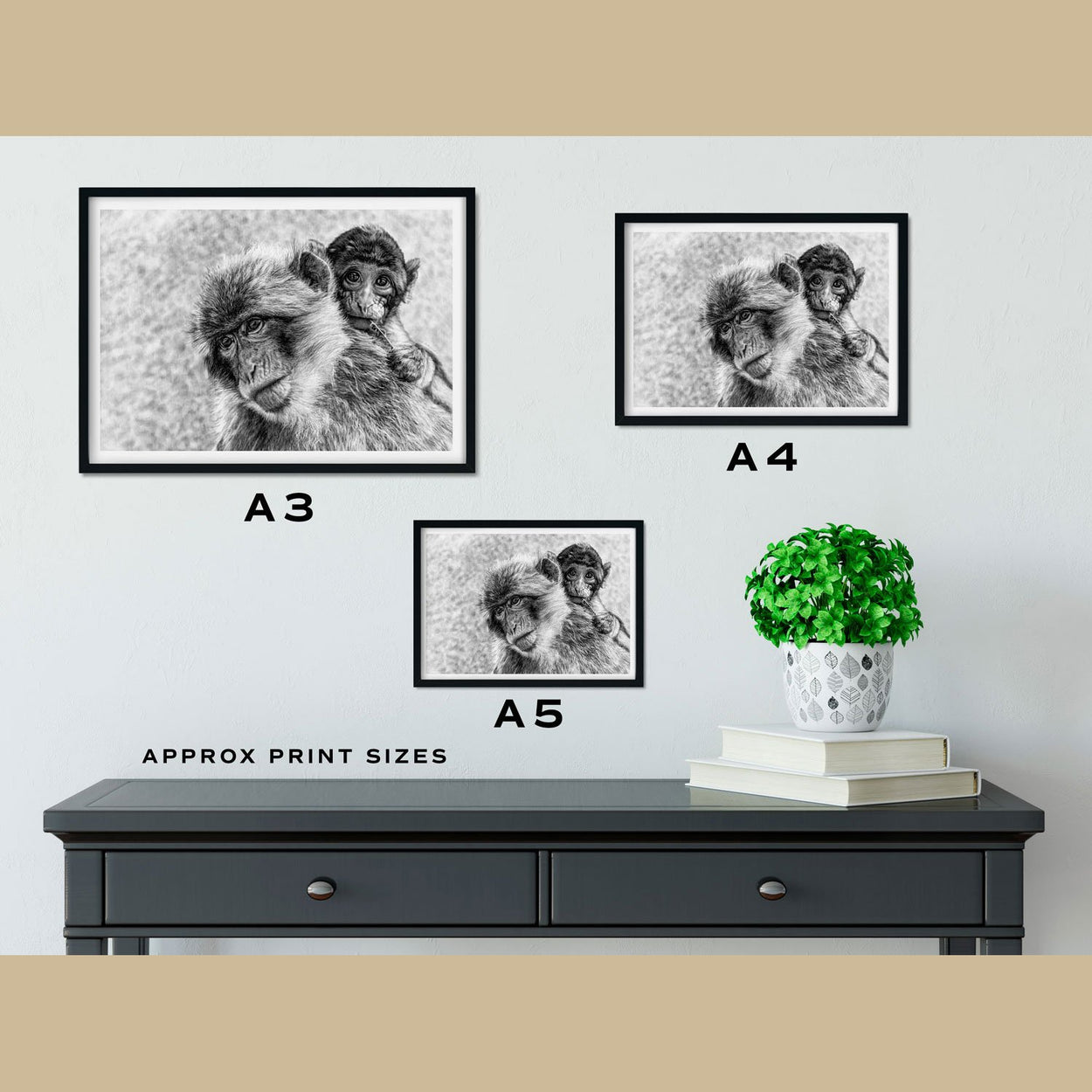 Macaques Prints Size Comparison - The Thriving Wild
