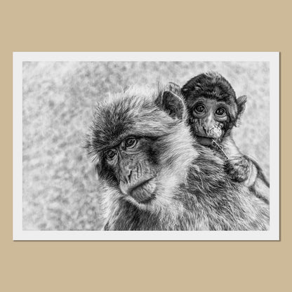 Mama & Baby Macaques Art Prints - The Thriving Wild