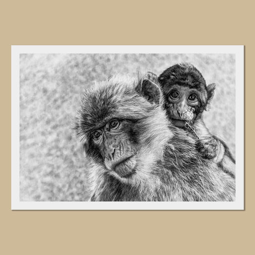 Mama & Baby Macaques Art Prints - The Thriving Wild