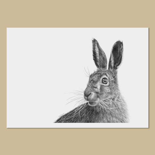 March Hare Art Prints - The Thriving Wild - Jill Dimond