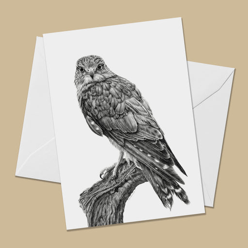 Merlin Greeting Card - The Thriving Wild