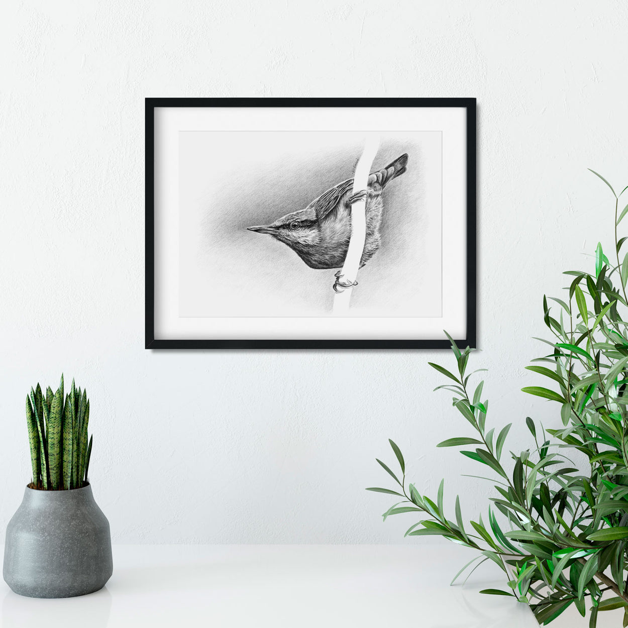 Nuthatch Drawing Frame on Wall - The Thriving Wild