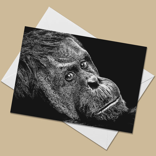 Orangutan Greeting Card - The Thriving Wild