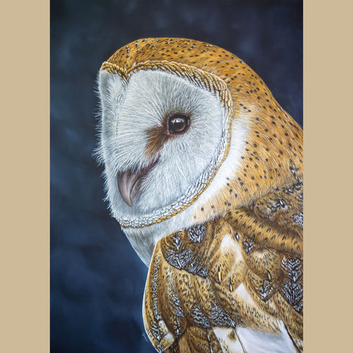 Original Barn Owl Oil Painting - Tyto Alba - Jill Dimond The Thriving Wild