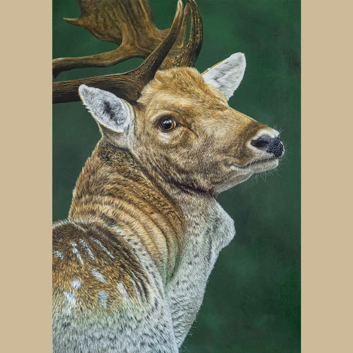 Original Fallow Deer Acrylic Painting by Jill Dimond - The Thriving Wild