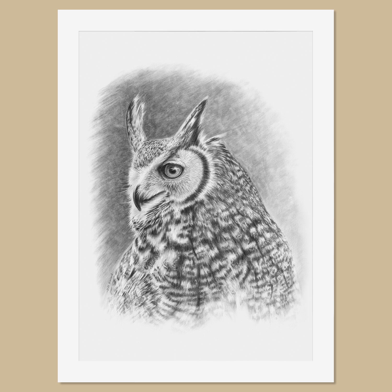 Original Great Horned Owl Pencil Drawing - The Thriving Wild - Jill Dimond
