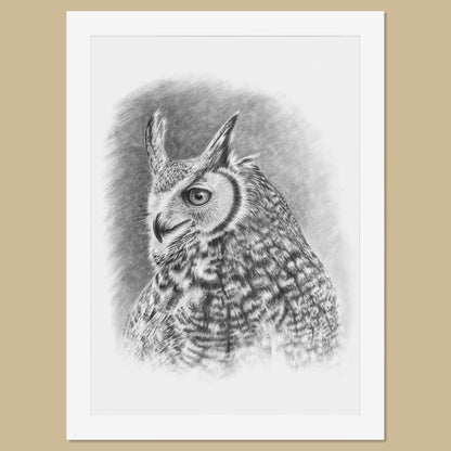 Original Great Horned Owl Pencil Drawing - The Thriving Wild - Jill Dimond