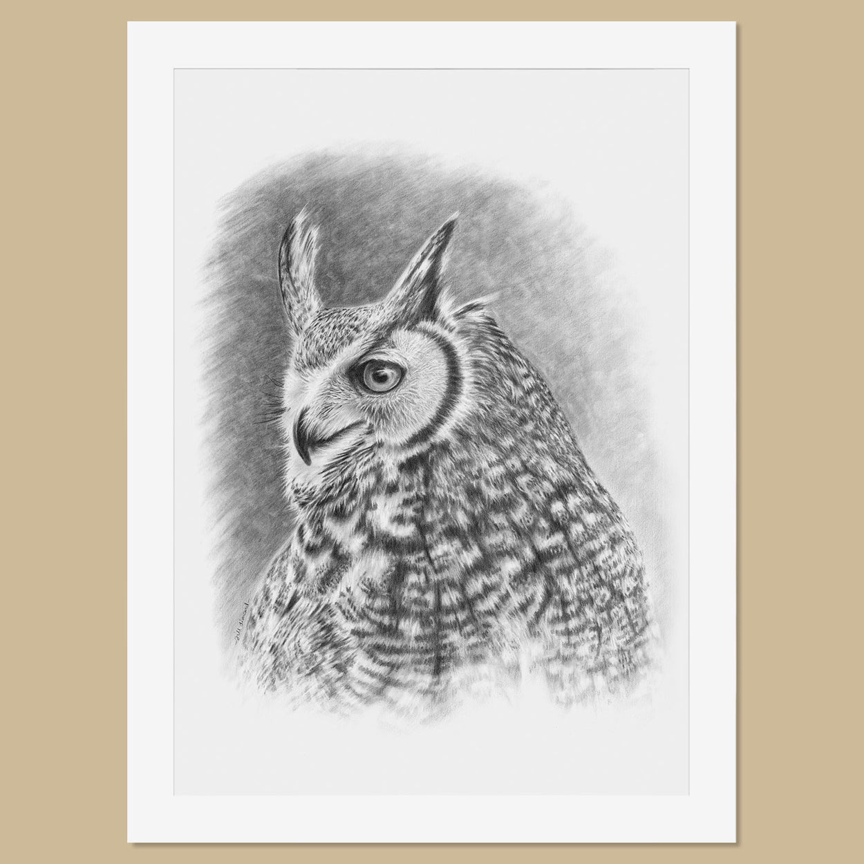 Original Great Horned Owl Pencil Drawing - The Thriving Wild - Jill Dimond