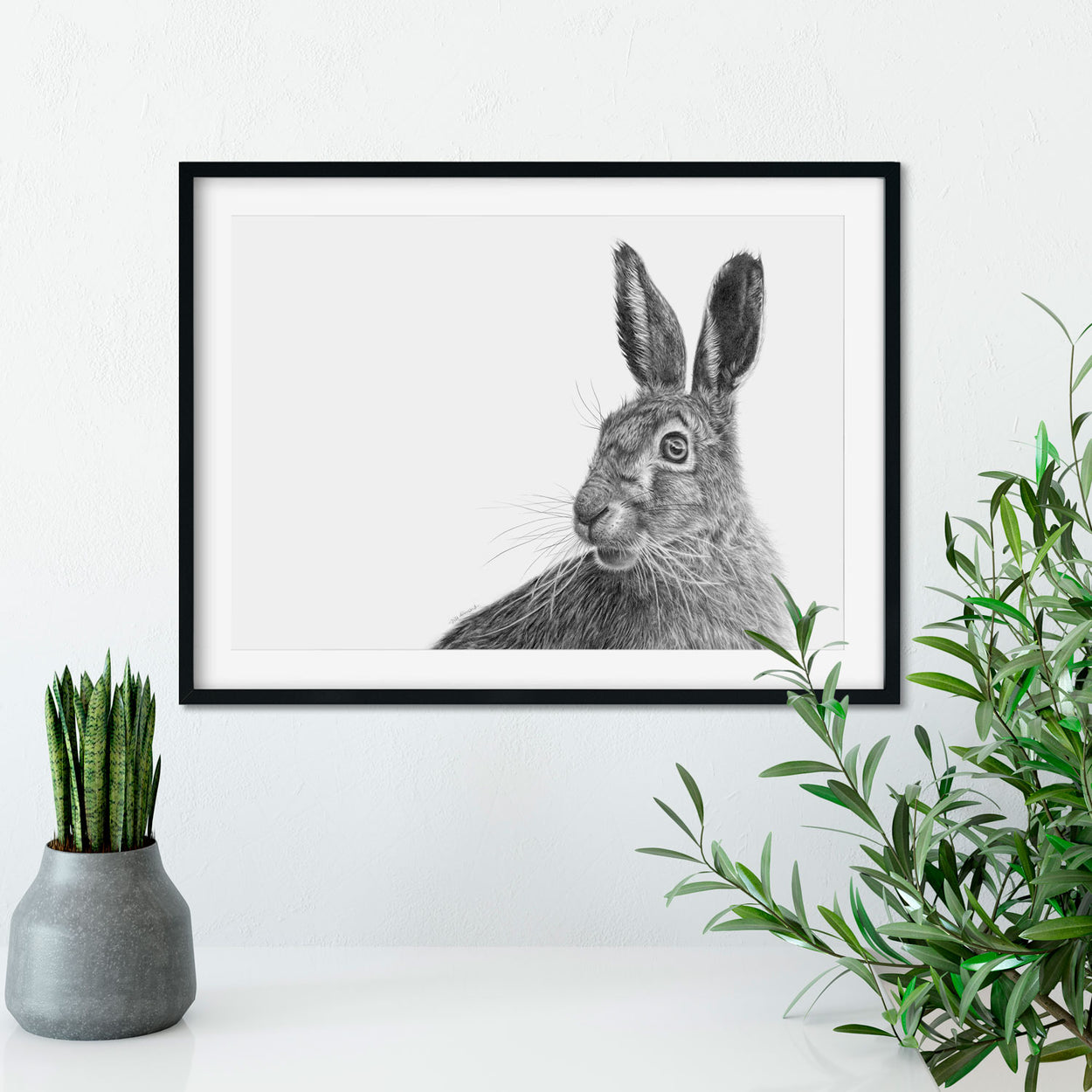 Original Hare Graphite Drawing on Wall - The Thriving Wild