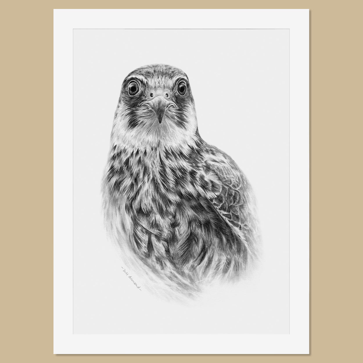 Original Hobby Pencil Drawing - The Thriving Wild