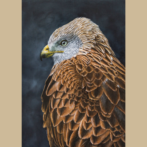 Original Red Kite Painting by Jill Dimond - The Thriving Wild