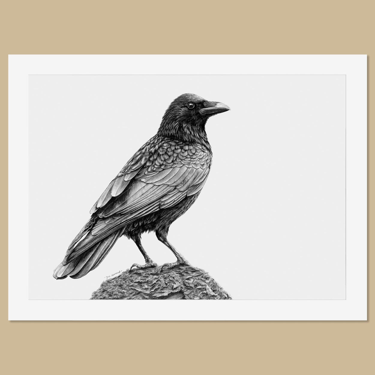 Original Crow Pencil Drawing - The Thriving Wild
