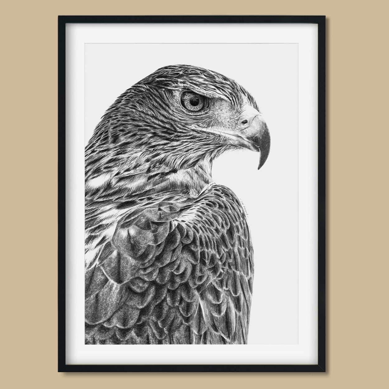 Original Golden Eagle Artwork - The Thriving Wild