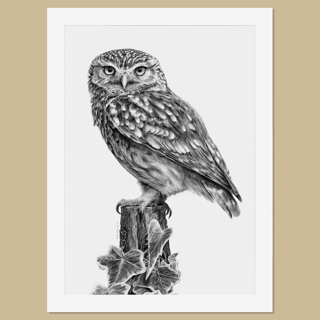 Original Little Owl Pencil Drawing - The Thriving Wild