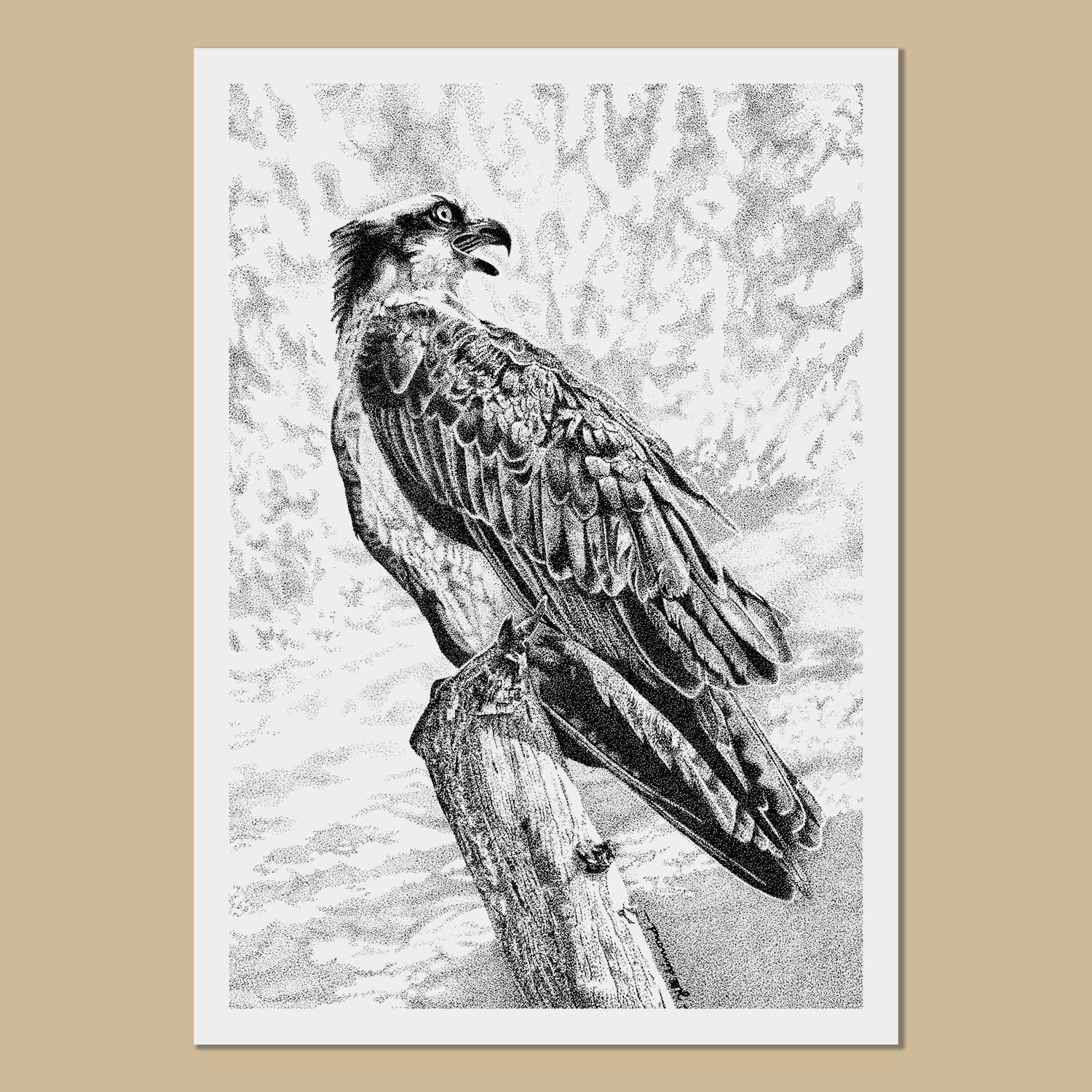 Osprey Art Prints - The Thriving Wild