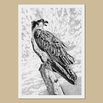 Osprey Art Prints - The Thriving Wild