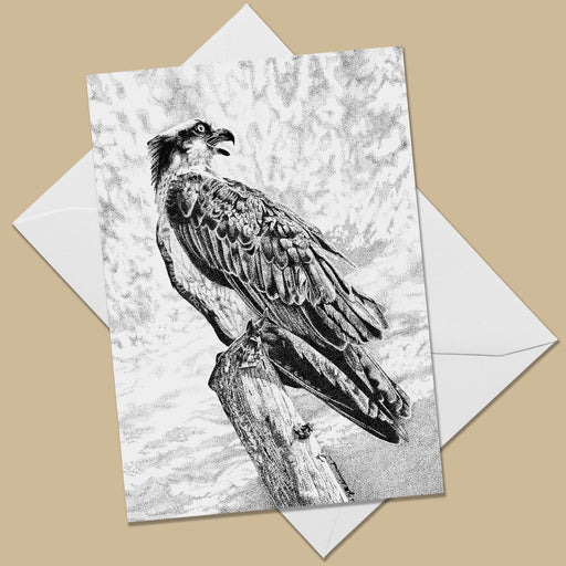 Osprey Greeting Card - The Thriving Wild